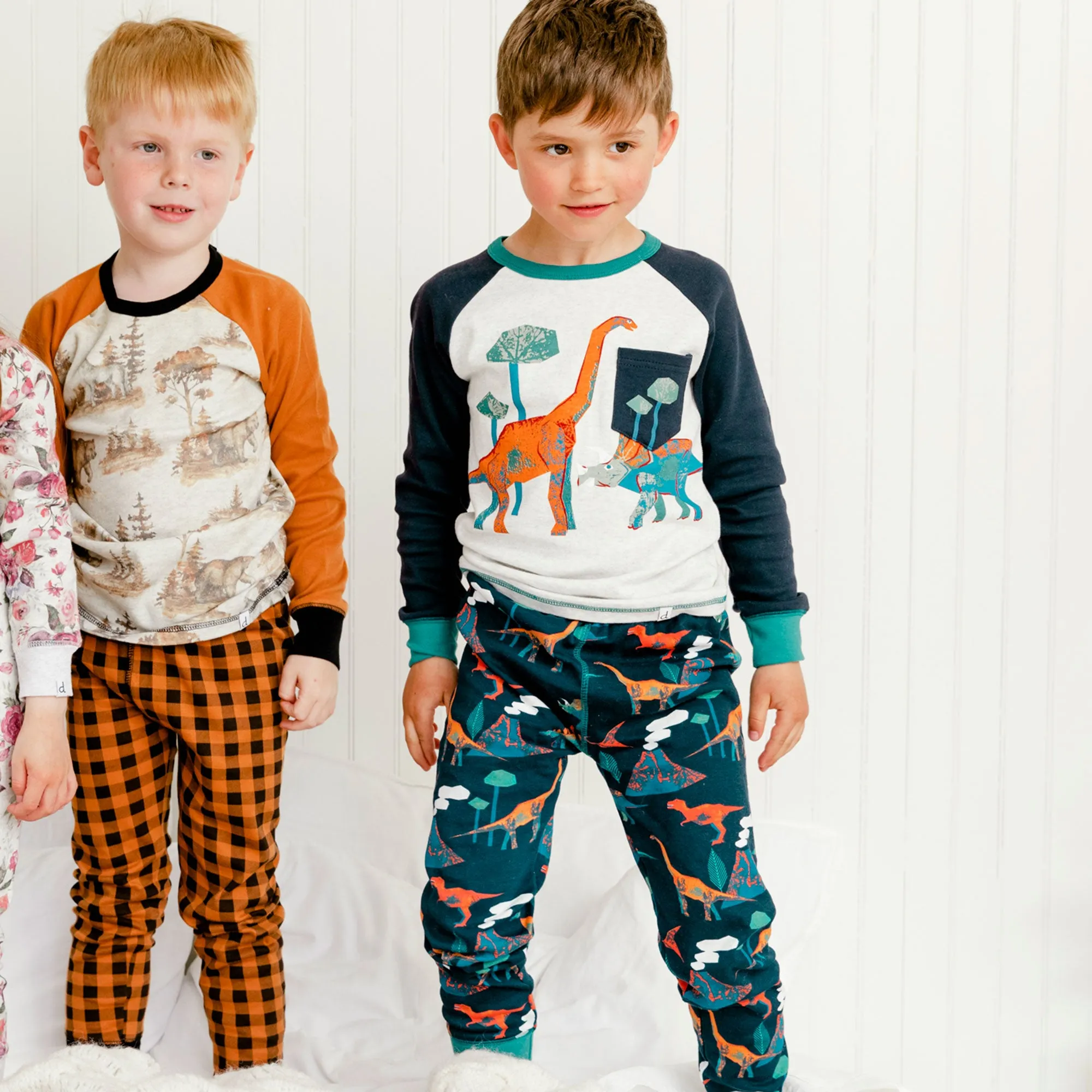 2 Piece Boys Dinosaur Pajamas